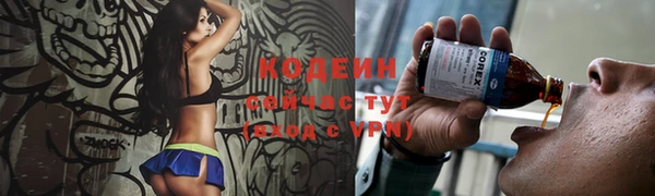 соль ск Переславль-Залесский