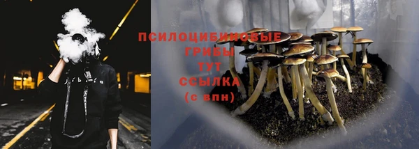 ECSTASY Пестово