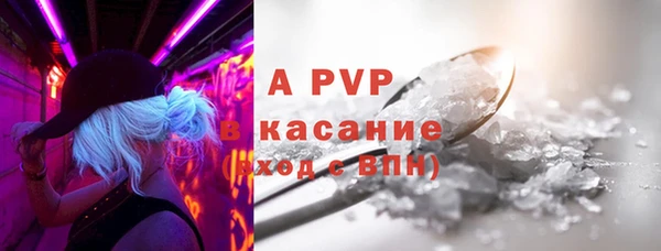 2c-b Пересвет