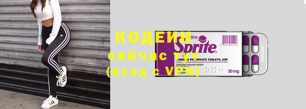соль ск Переславль-Залесский