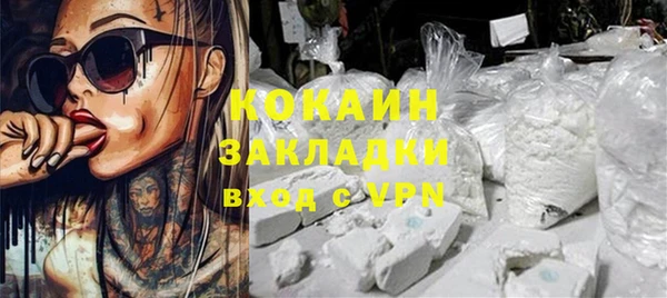 соль ск Переславль-Залесский