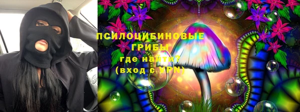ECSTASY Пестово