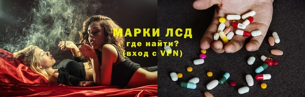 ALPHA PVP Остров