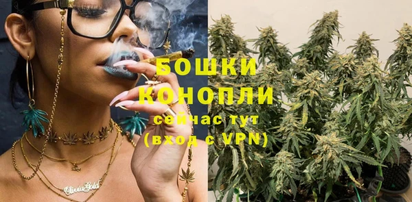 2c-b Пересвет