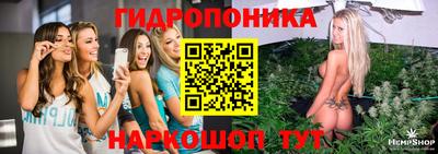 PSILOCYBIN Бийск