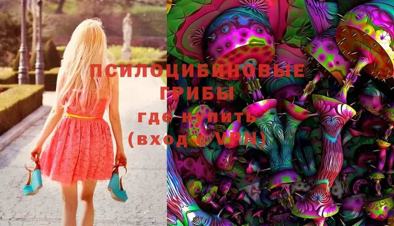 OMG зеркало  купить   Вязьма  Псилоцибиновые грибы ЛСД 