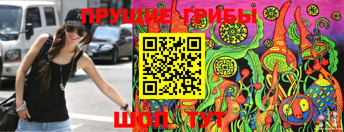 Галлюциногенные грибы Psilocybine cubensis  Галлюциногенные грибы Psilocybe  Вход с VPN  Вязьма 