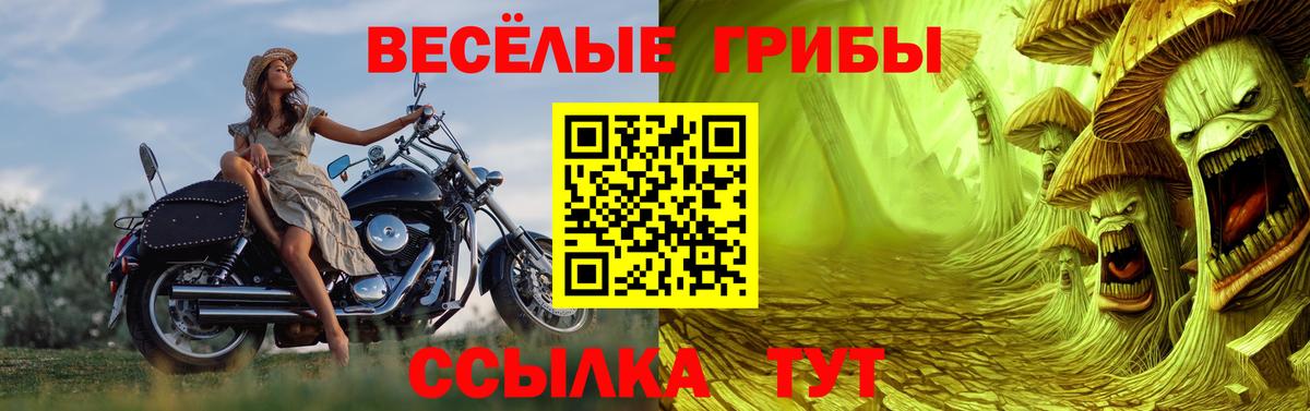 Галлюциногенные грибы Cubensis Вязьма