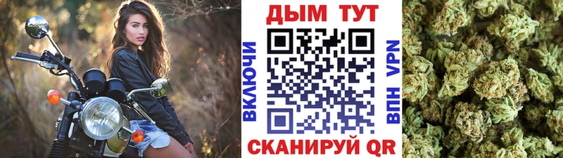 наркотики  ОМГ ОМГ   Бошки Шишки MAZAR  Вязьма 